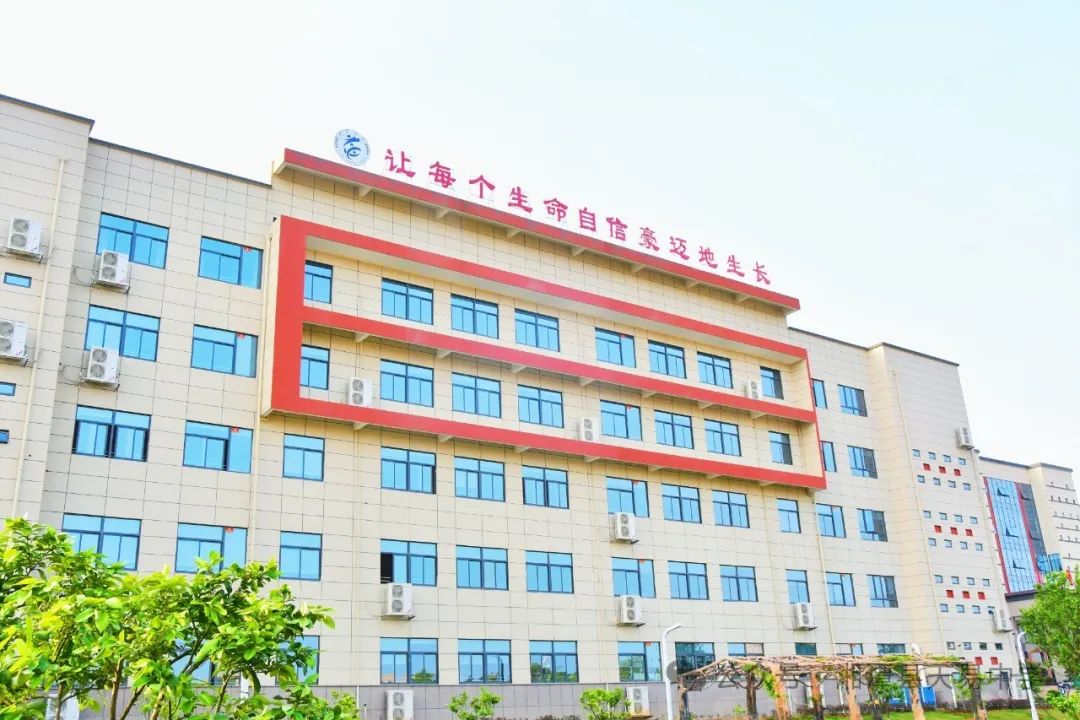 鑄魂育人 道法匠心——天易中學優(yōu)秀教師風采(第八期)